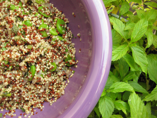 fava bean, quinoa, and mint salad