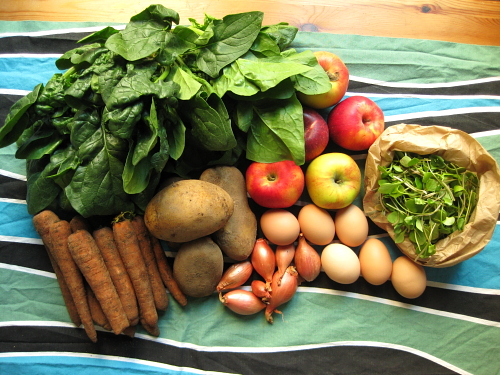Spinach, apples, purslane, eggs, shallots, potatoes, carrots