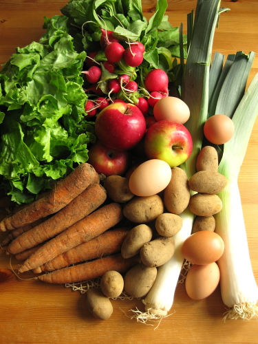 Lettuce, radishes, leeks, eggs, potatoes, carrots, apples
