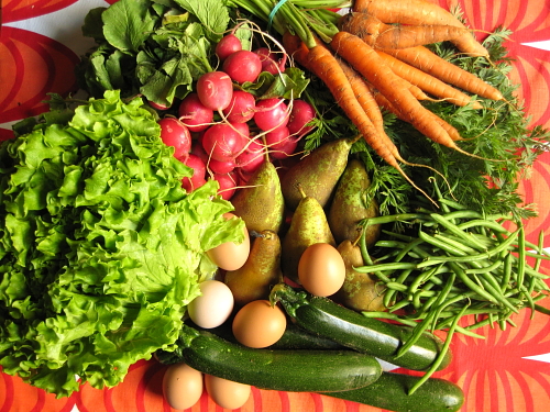 lettuce, radishes, carrots, green beans, zucchini, pears, eggs