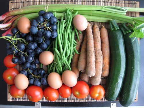 rhubarb, zucchini, carrots, green beans, grapes, tomatoes, eggs