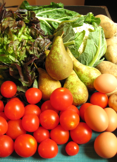 Lettuce, Swiss chard, cauliflower, potatoes, eggs, tomatoes, pears