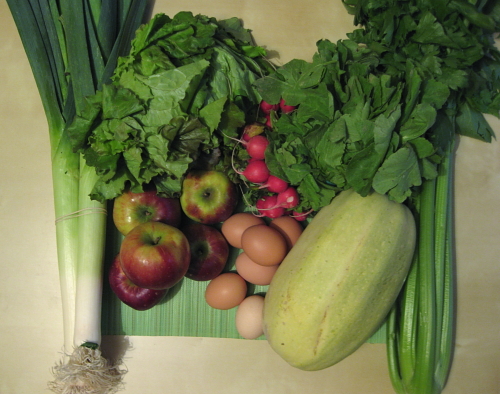 Leeks, lettuce, radishes, celery, spaghetti squash, eggs, apples